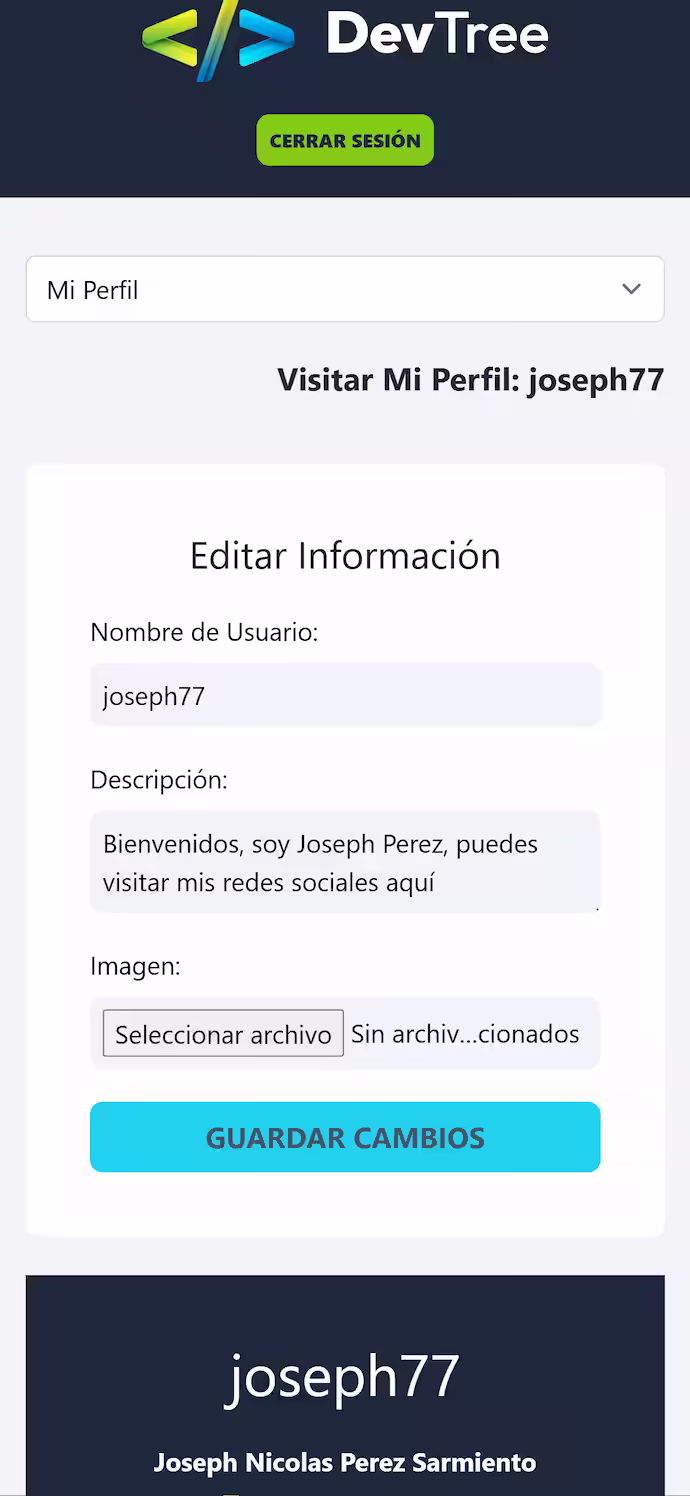 DevTree - mobile view 1